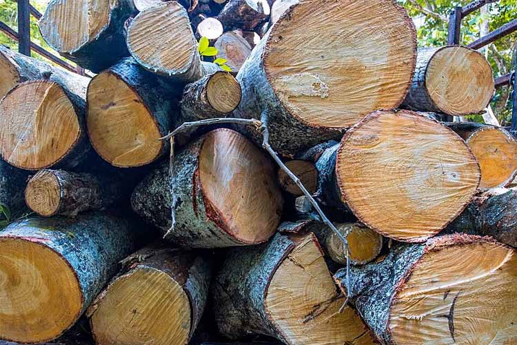 Faster Cutting Speed Simple Heavy Duty Sawmill Faster Cutting Speed Simple Heavy Duty Sawmill