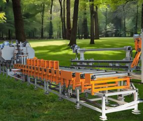 Wood Sawmill Cutting Line