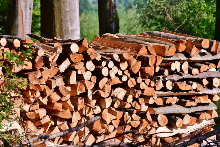 Electric Firewood Processor Electric Firewood Processor